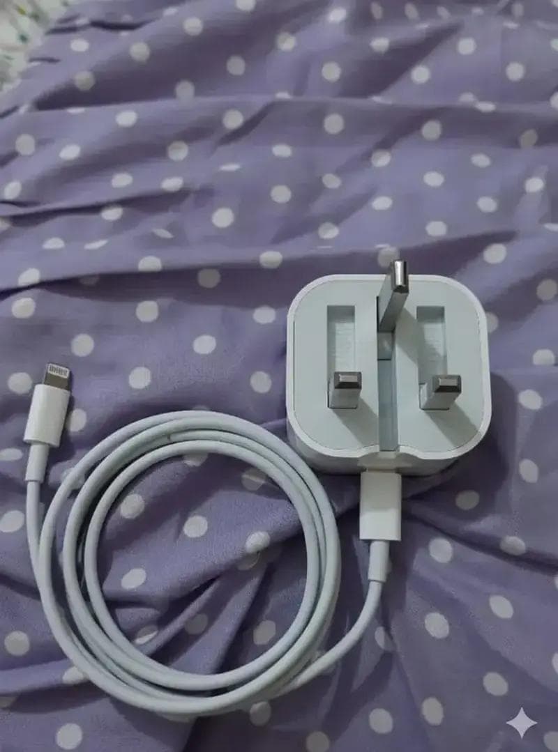 Apple 20W Adapter with USB-C to Lightning Cable exact unit photo 1